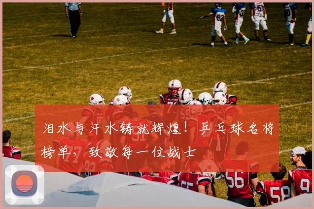 泪水与汗水铸就辉煌!乒乓球名将榜单,致敬每一位战士