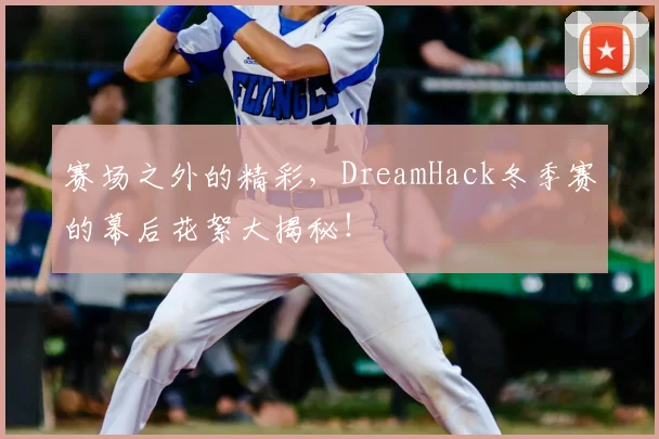 赛场之外的精彩,DreamHack冬季赛的幕后花絮大揭秘!
