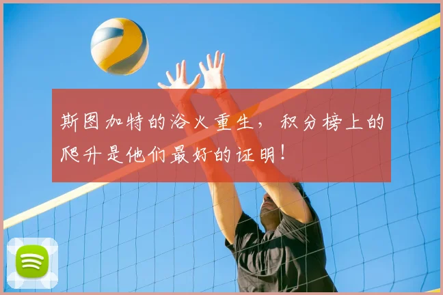 斯图加特的浴火重生,积分榜上的爬升是他们最好的证明!